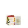 Ashleigh & Burwood Scented Candle 170g