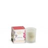 Ashleigh & Burwood Scented Candle 170g