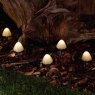 LIGHT MUSHROOM 12PK FOREST SOLAR