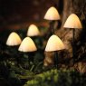 LIGHT MUSHROOM 6PK XL FOREST