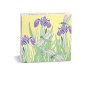 CARD DRAGONFLIES & IRIS 8PK