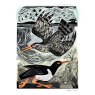 CARD REDSHANK & OYSTERCATCH