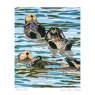 CARD SEA OTTERS RESTING