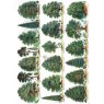 CARD OUR BRITISH FOREST TREES