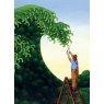 CARD TOPIARY WAVE
