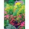 CARD SUMMER GARDEN