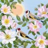 CARD WILD ROSES & GOLDFINCHES