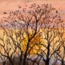 CARD ROOKS AT SUNDOWN