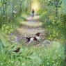 CARD SUMMER WOODLAND WALK