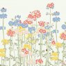 CARD PRIMULAS