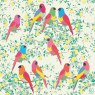 CARD PARROTS