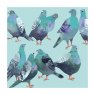 CARD PIGEON PARADE