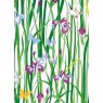 CARD IRISES & BUTTERFLIES