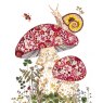 CARD SNAIL & TOADSTOOLS
