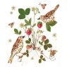 CARD STRAWBERRY THIEVES