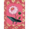CARD WATERLILY