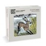 Angela Harding Coaster 4 Pack