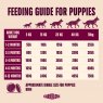 Carnilove Carnilove Salmon & Turkey Puppy Food 1.5kg