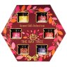 SWEET SELECTION 6PK HEX BAY TREE