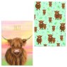 DIARY A5 WTV HIGHLAND COW
