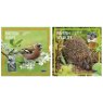 CALENDAR SQUARE BIRDS & WILDLIFE