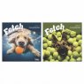 CALENDAR SQUARE GO FETCH