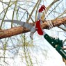 LOPPER TREE SAW TELESCOPIC DEKTON