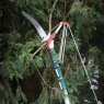 DEKTON Dekton Telescopic Tree Saw Lopper