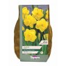 NARCISSUS CAMELOT 2KG