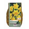 NARCISSUS FORTUNE 2KG