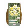 NARCISSUS ICE FOLLIES 2KG