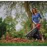 Einhell Einhell Venturro 18/210 Cordless Leaf Vacuum Bare Tool