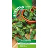 SEED PEPPER PADRON CHILLI