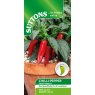 SEED CHILLI RAPID JALAPENO