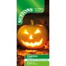 SUTTONS Suttons Wicked Pumpkin F1 Seeds