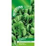 SEED SPINACH ZISA F1