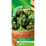 SEED SQUASH GREEN LIGHTENING F1