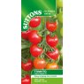 SEED TOMATO CHERRY RAPIDS F1
