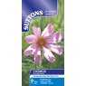 SEED COSMOS PINWHEEL PINK