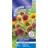 SEED SUNFLOWER ANTIQUE GLOW