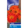 SEED ZINNIA AZTEC ORANGE