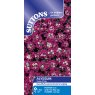 SUTTONS Suttons Alyssum Rosie O'Day Seeds