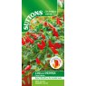 SUTTONS Suttons Fiery Flames Chilli Pepper Seeds