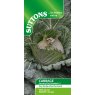 SUTTONS Suttons Marabel January King Cabbage F1 Seeds
