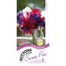 SUTTONS Suttons Royal Standard Sweet Pea Seeds