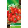 SUTTONS Suttons Umamini Tomato F1 Seeds