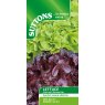 SUTTONS Suttons Double Oak Recipe Lettuce Seeds