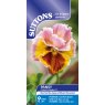 SEED PANSY CHIANTI SHADES F1