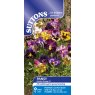 SEED PANSY MOULIN ROUGE F1