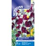 SUTTONS Suttons Antirrhinum Day & Night Seeds